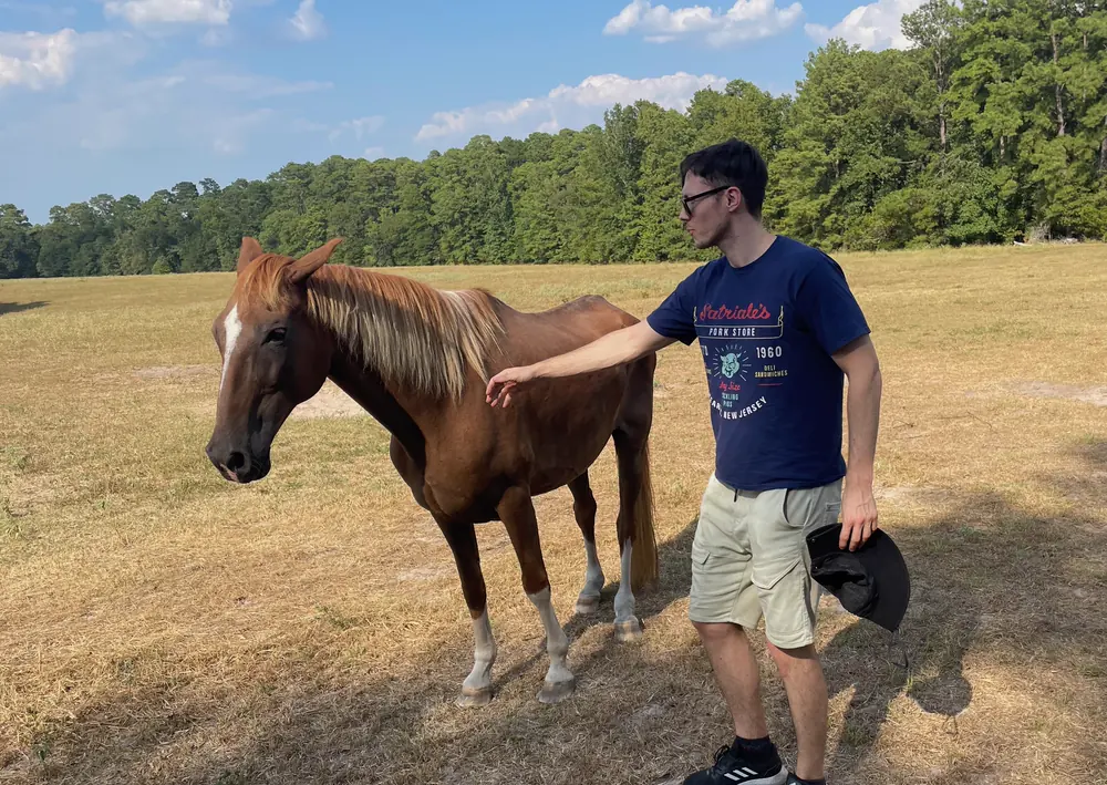 Leo in a field with a chestnut horse