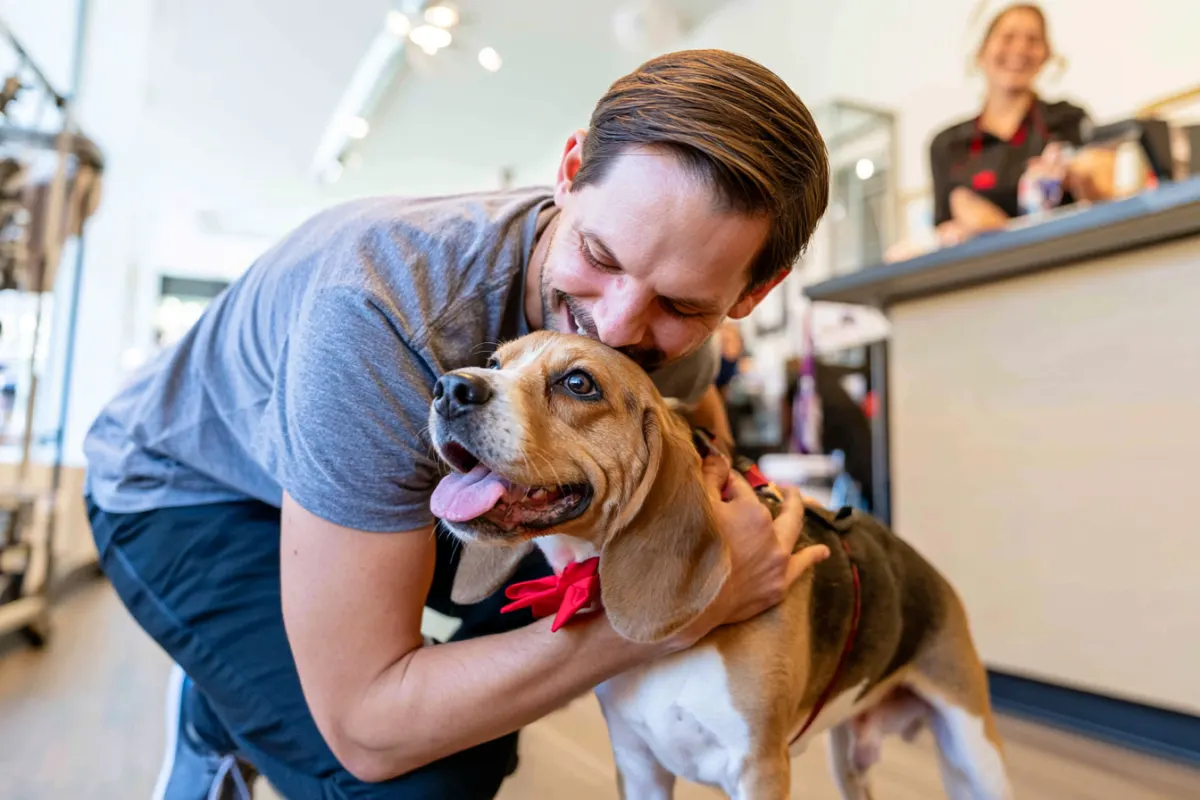 A man hugging his freshly groomed beagle at pickup